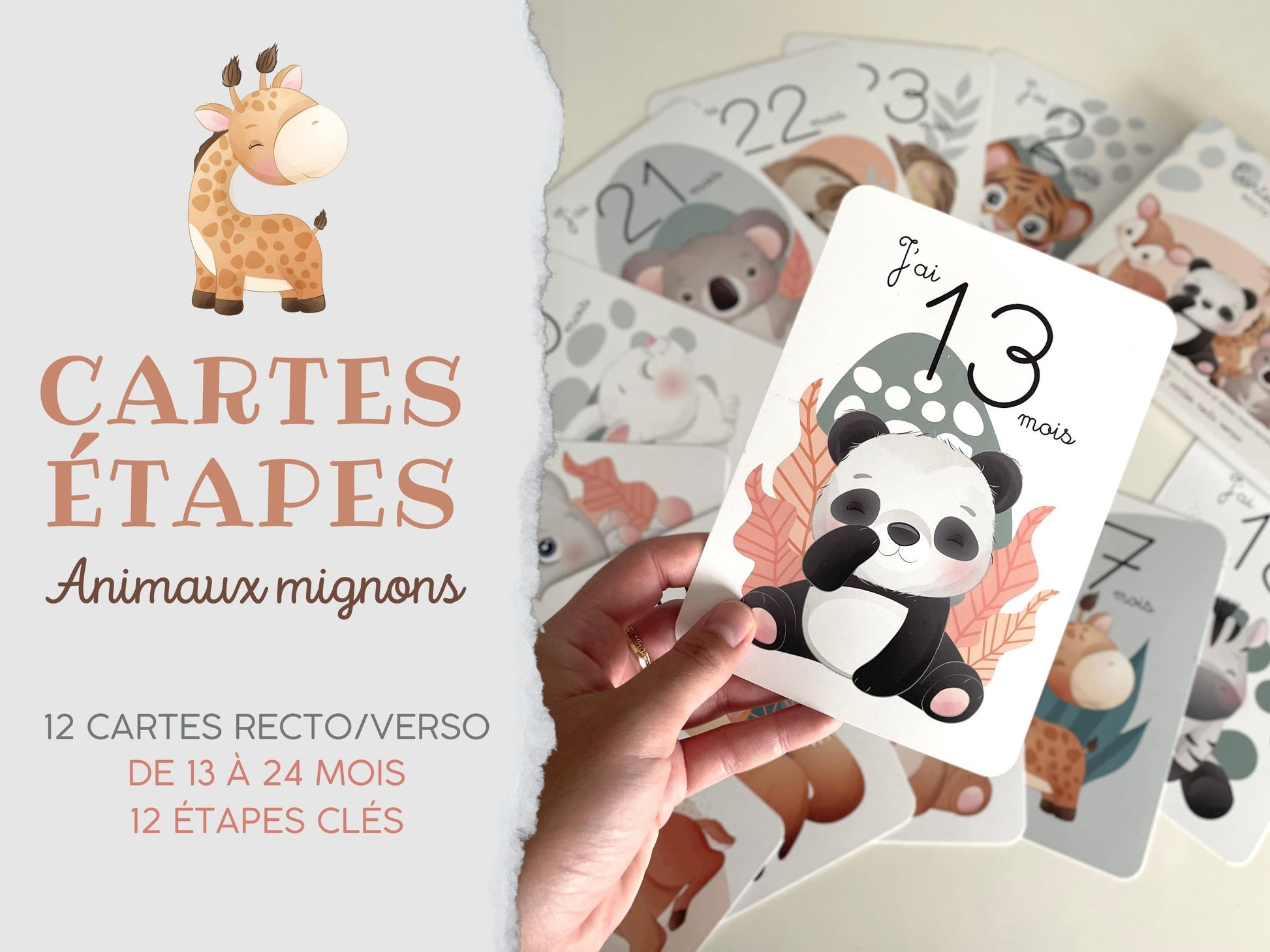 Carte étapes - 12 - 24 mois - Animaux mignon jungle forêt 1 an 2 ans - Bébé - Famille - Souvenir - Papeterie - Ma deuxième année recto verso - Imagine.affiche