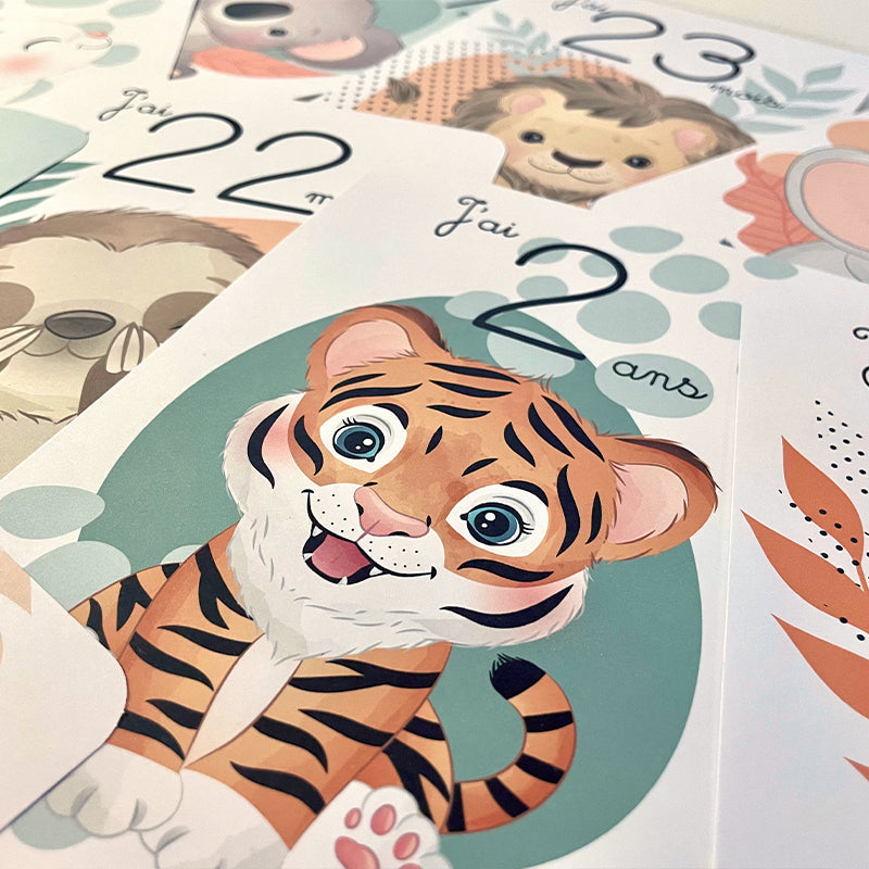 Cartes et Étapes bébé