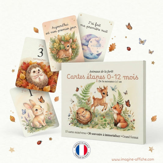 Cartes étapes 1 semaine 12 mois - Imagine affiche grand format angles ronds