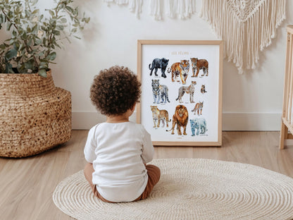 Big Cats Poster – Wild Feline Educational Print – Lion, Tiger, Cheetah, Jaguar – Kids & Teen Wall Art