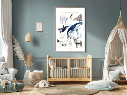 Polar Animals Poster – Whale, polar bear, penguin, seal – Educational Animal Poster – Decoration for Children & Teenagers
