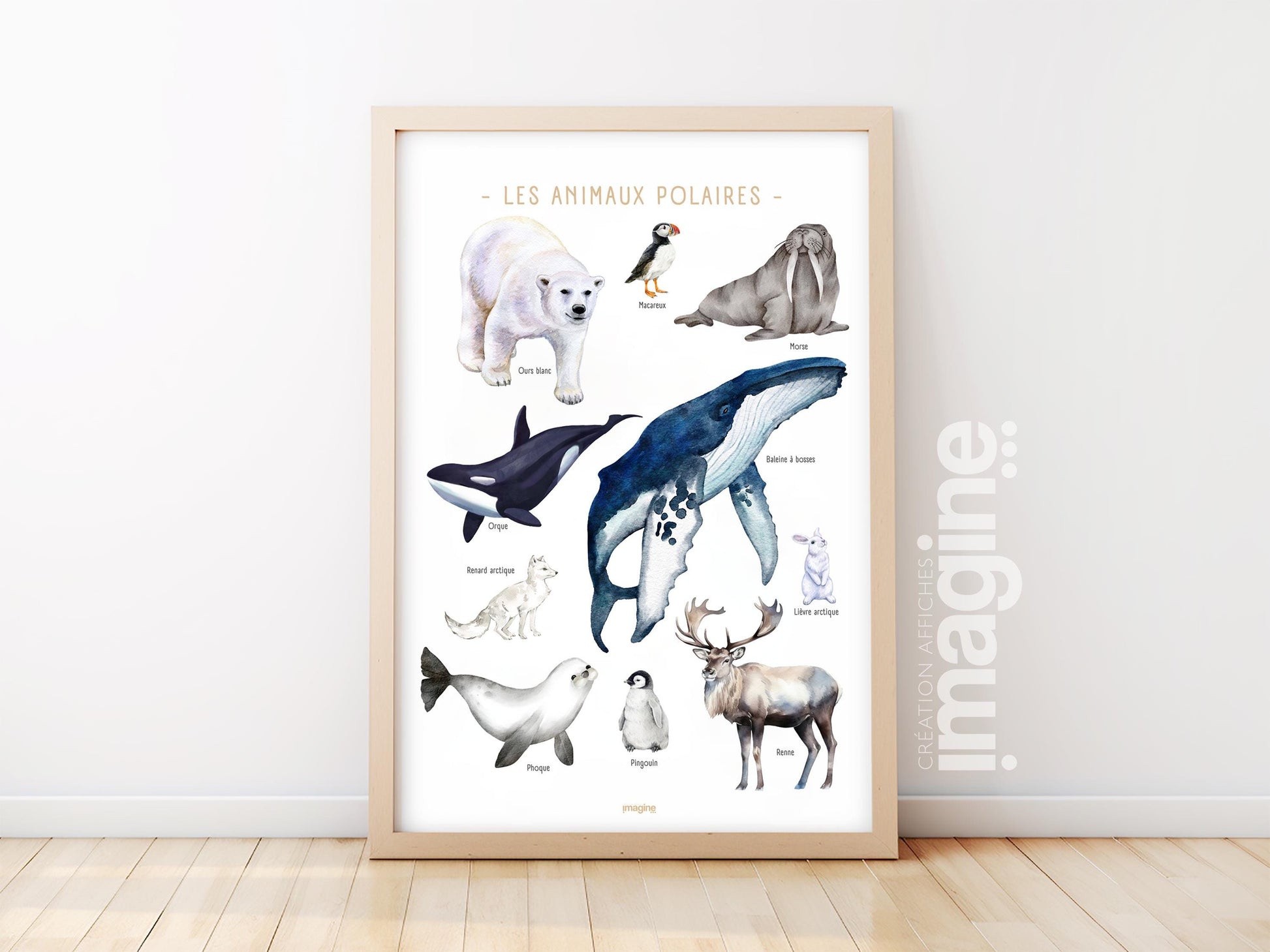 Polar Animals Poster – Whale, polar bear, penguin, seal – Educational Animal Poster – Decoration for Children & Teenagers