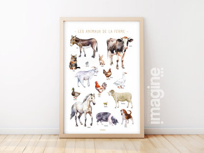 Farm Animals Poster – Cow, Donkey, Rooster, Sheep, Pig – Educational Animal Poster – Decoration for Children & Teenagers