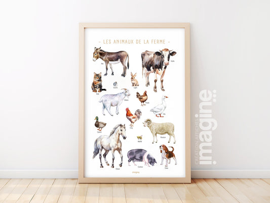 Farm Animals Poster – Cow, Donkey, Rooster, Sheep, Pig – Educational Animal Poster – Decoration for Children & Teenagers