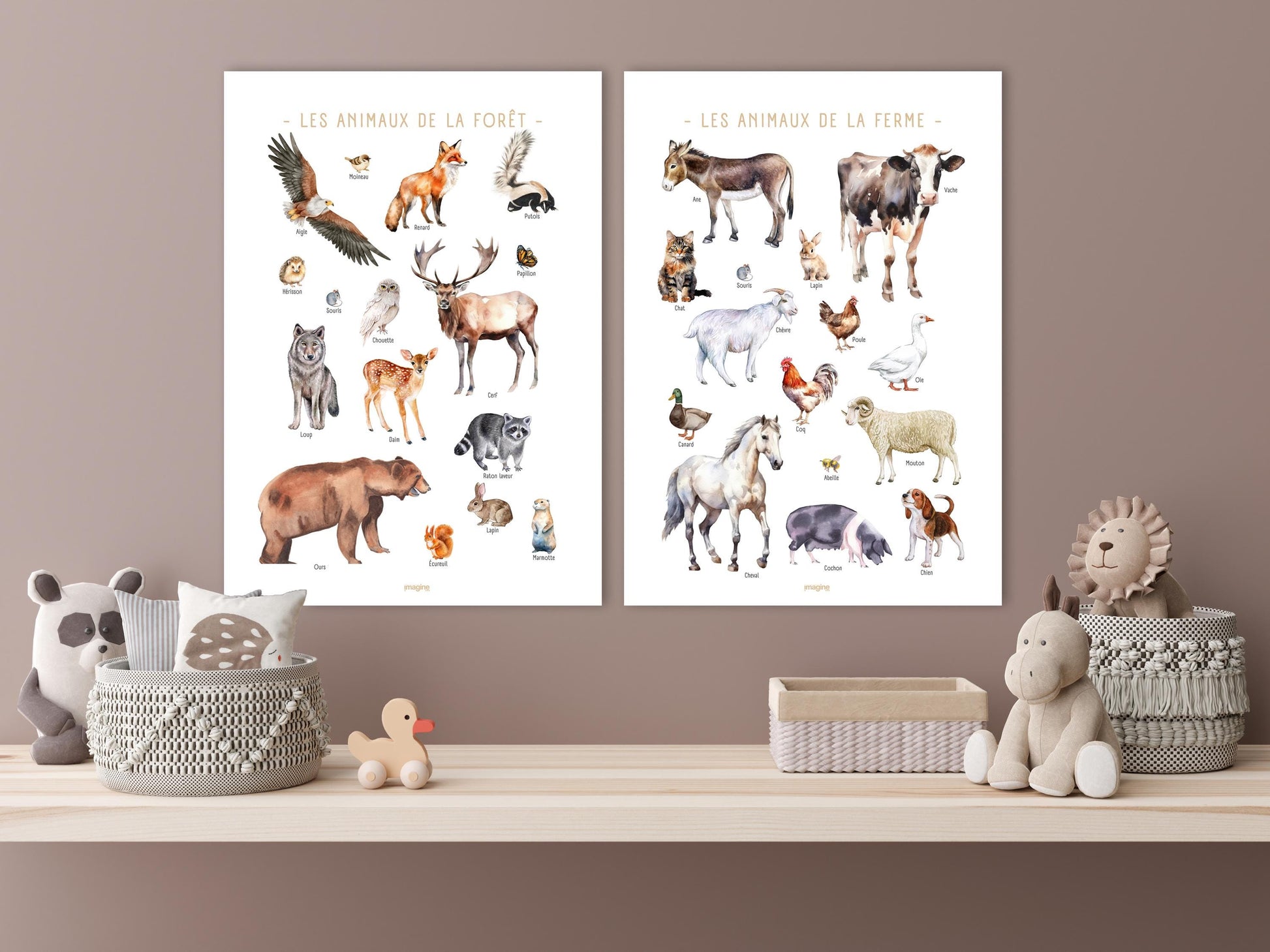 Farm Animals Poster – Cow, Donkey, Rooster, Sheep, Pig – Educational Animal Poster – Decoration for Children & Teenagers