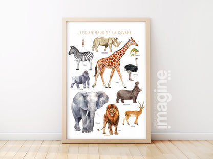 Savannah Animals Poster – Zebra, Ostrich, Lion, Gorilla – Educational Animal Poster – Children’s & Teenagers’ Decoration