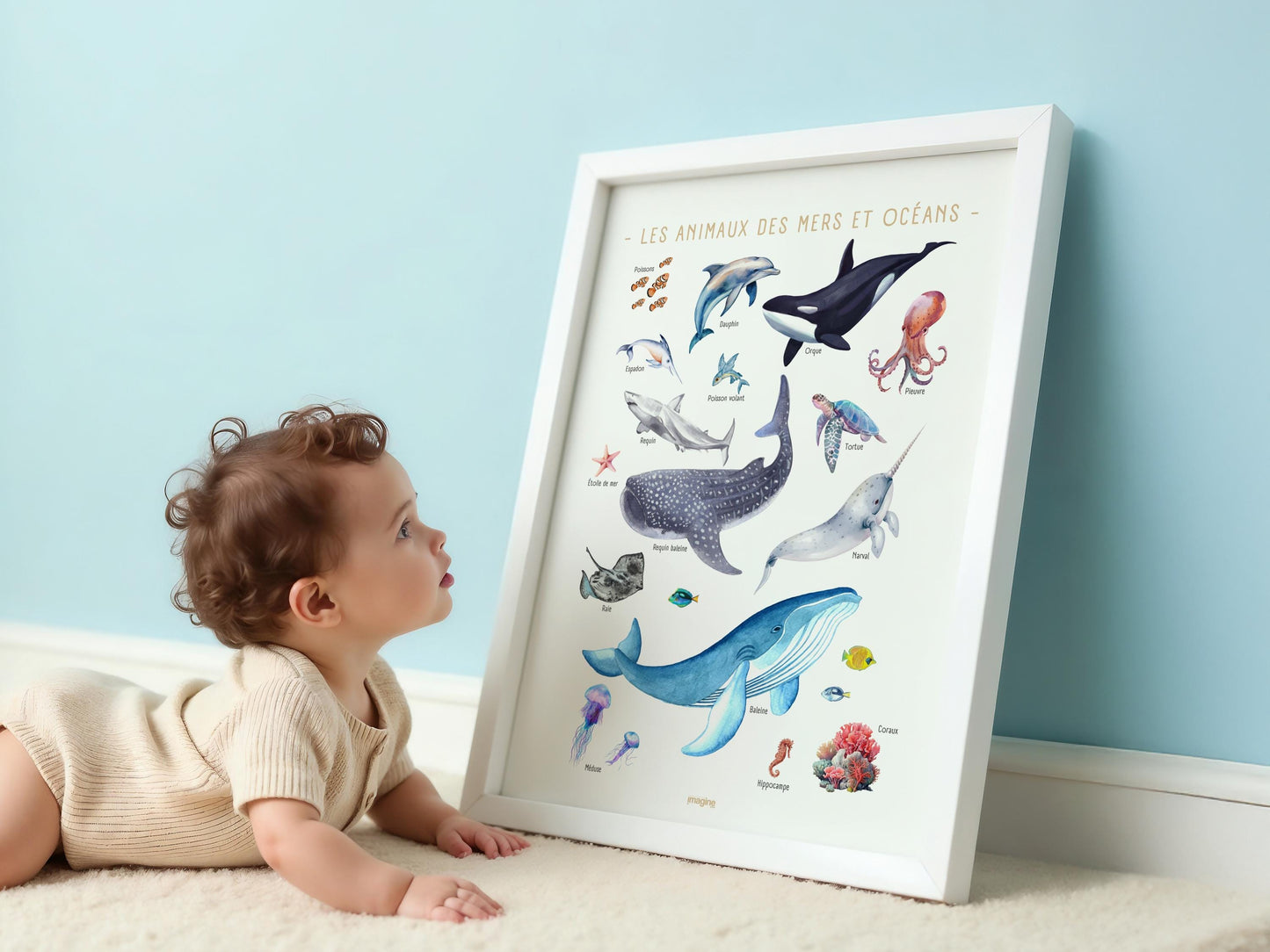 Educational Poster Marine Animals & Ocean Creatures - Kids Wall Art - Watercolor Illustration