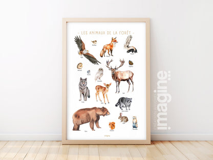 Forest Animals Poster – Soft Educational Illustration – Kids & Teen Wall Art – French Design