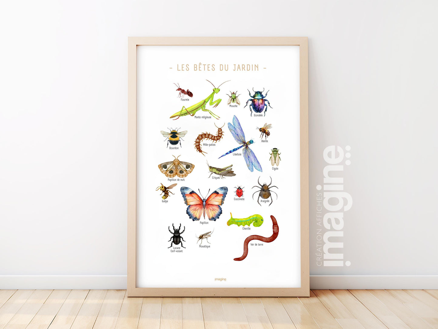 Garden Bugs & Insects Poster – Educational Decorative Wall Art – Kids Teen Room – French Illustration