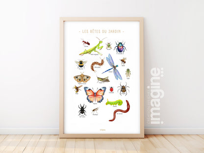 Garden Bugs & Insects Poster – Educational Decorative Wall Art – Kids Teen Room – French Illustration
