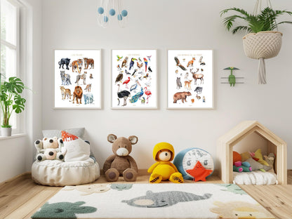 Big Cats Poster – Wild Feline Educational Print – Lion, Tiger, Cheetah, Jaguar – Kids & Teen Wall Art