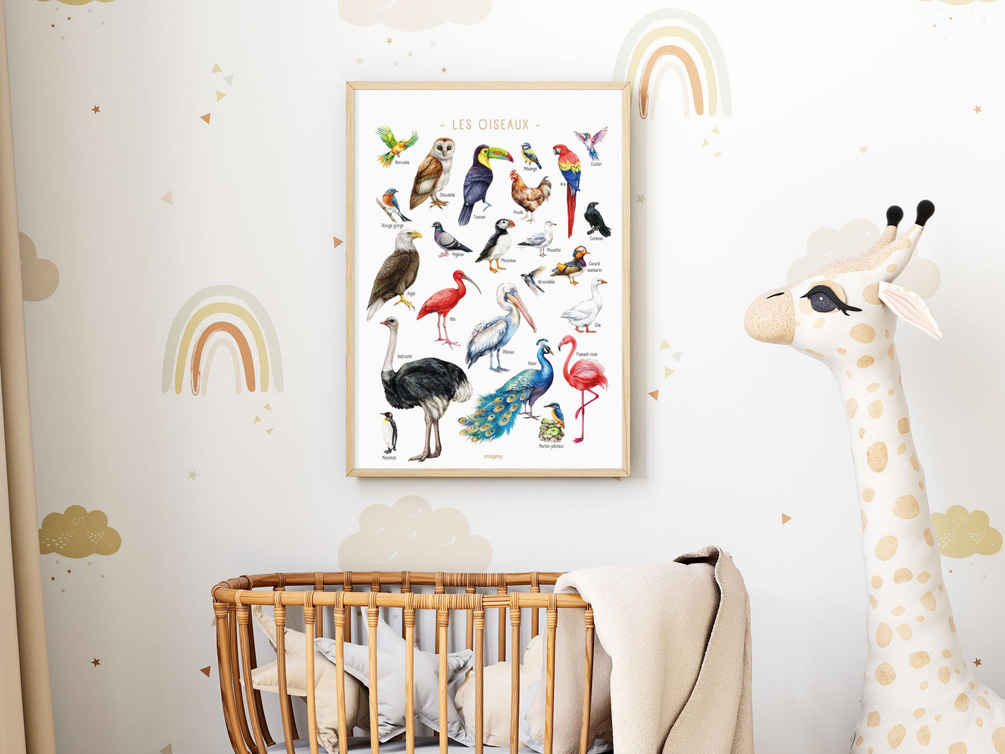 Multicolored Birds of the World Poster – Educational and Decorative Illustration – Children’s & Teenagers’ Bedroom – French Creation