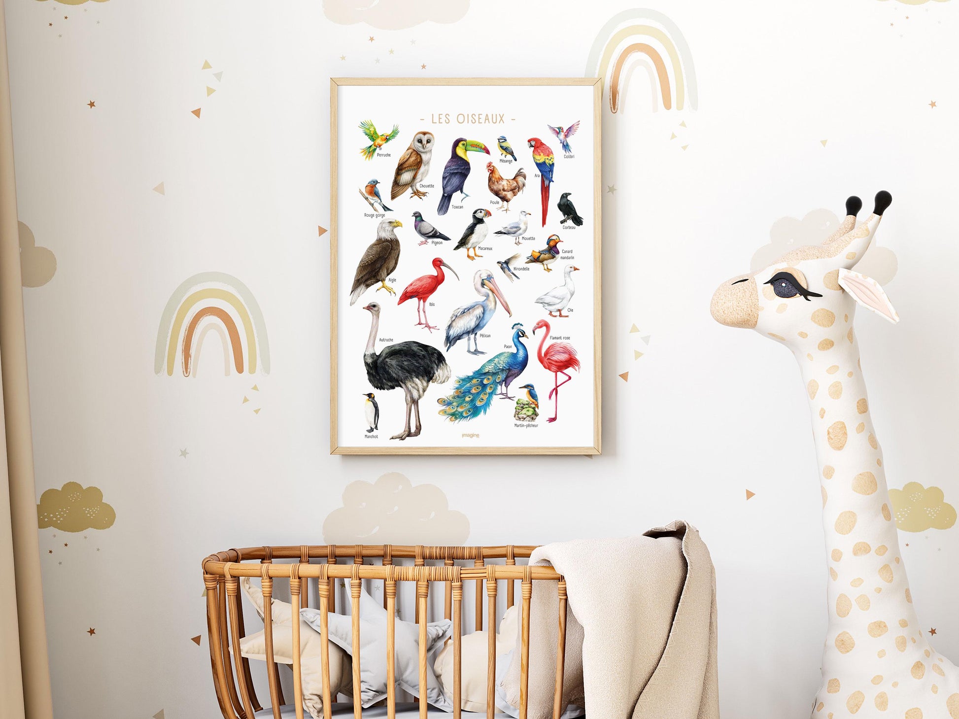 Multicolored Birds of the World Poster – Educational and Decorative Illustration – Children’s & Teenagers’ Bedroom – French Creation