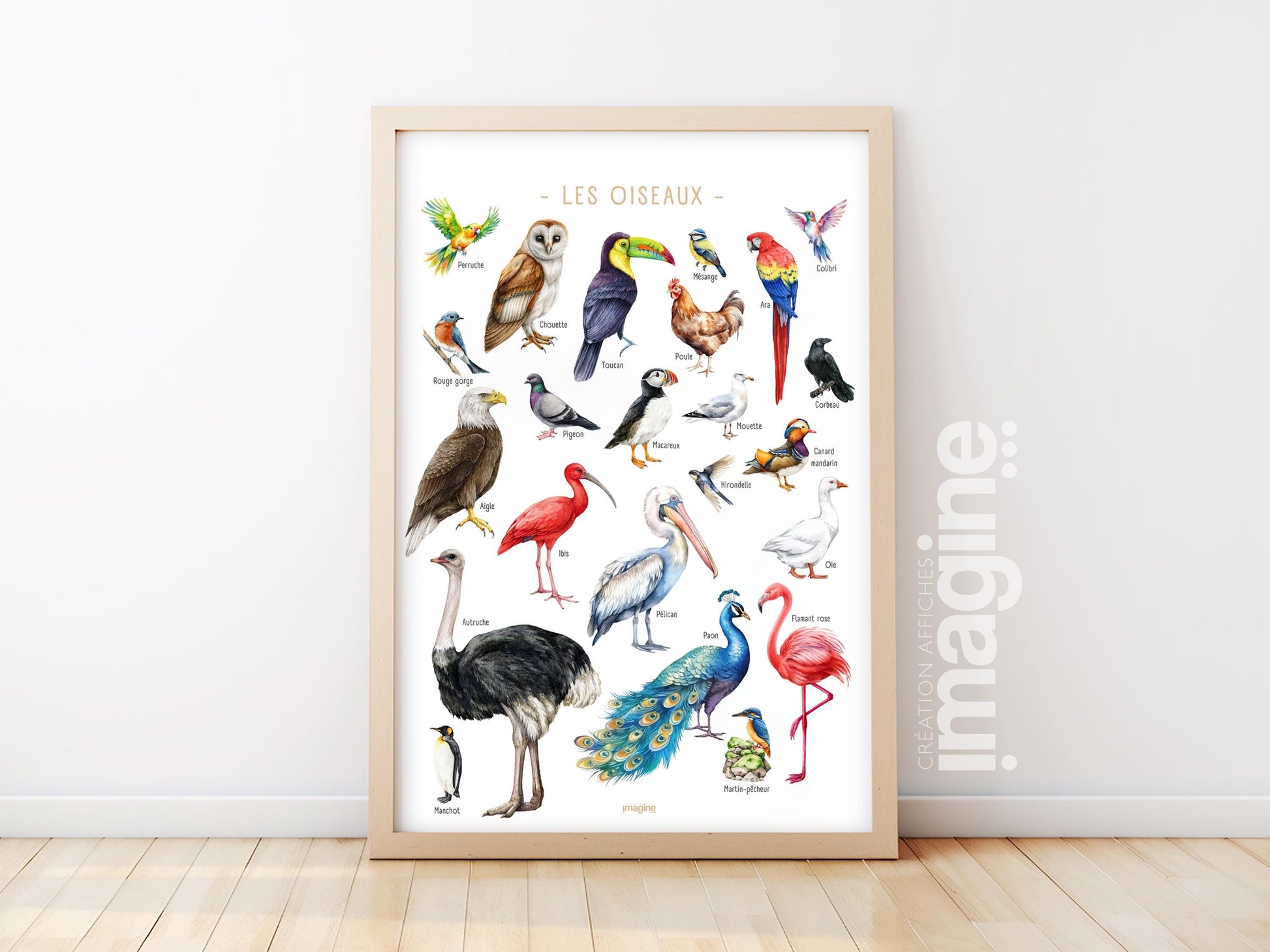 Multicolored Birds of the World Poster – Educational and Decorative Illustration – Children’s & Teenagers’ Bedroom – French Creation