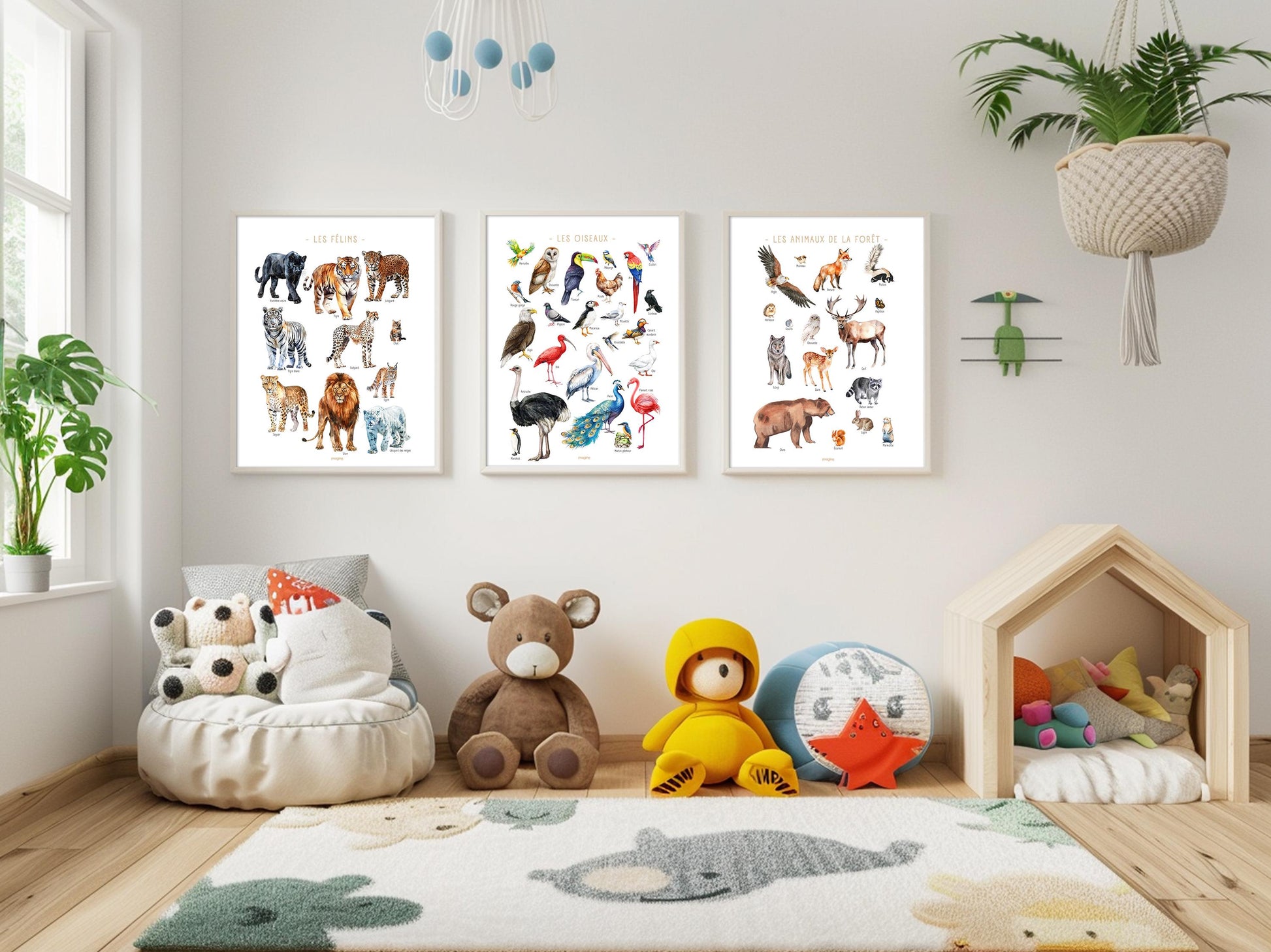 Multicolored Birds of the World Poster – Educational and Decorative Illustration – Children’s & Teenagers’ Bedroom – French Creation