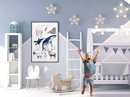 Polar Animals Poster – Whale, polar bear, penguin, seal – Educational Animal Poster – Decoration for Children & Teenagers