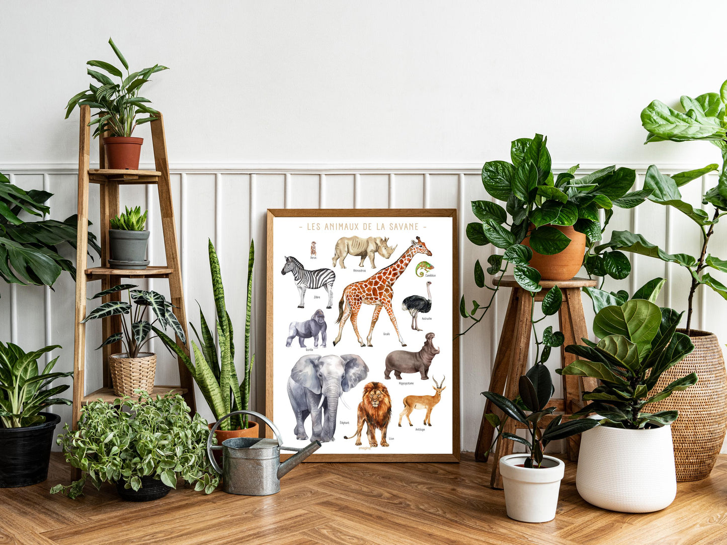 Savannah Animals Poster – Zebra, Ostrich, Lion, Gorilla – Educational Animal Poster – Children’s & Teenagers’ Decoration