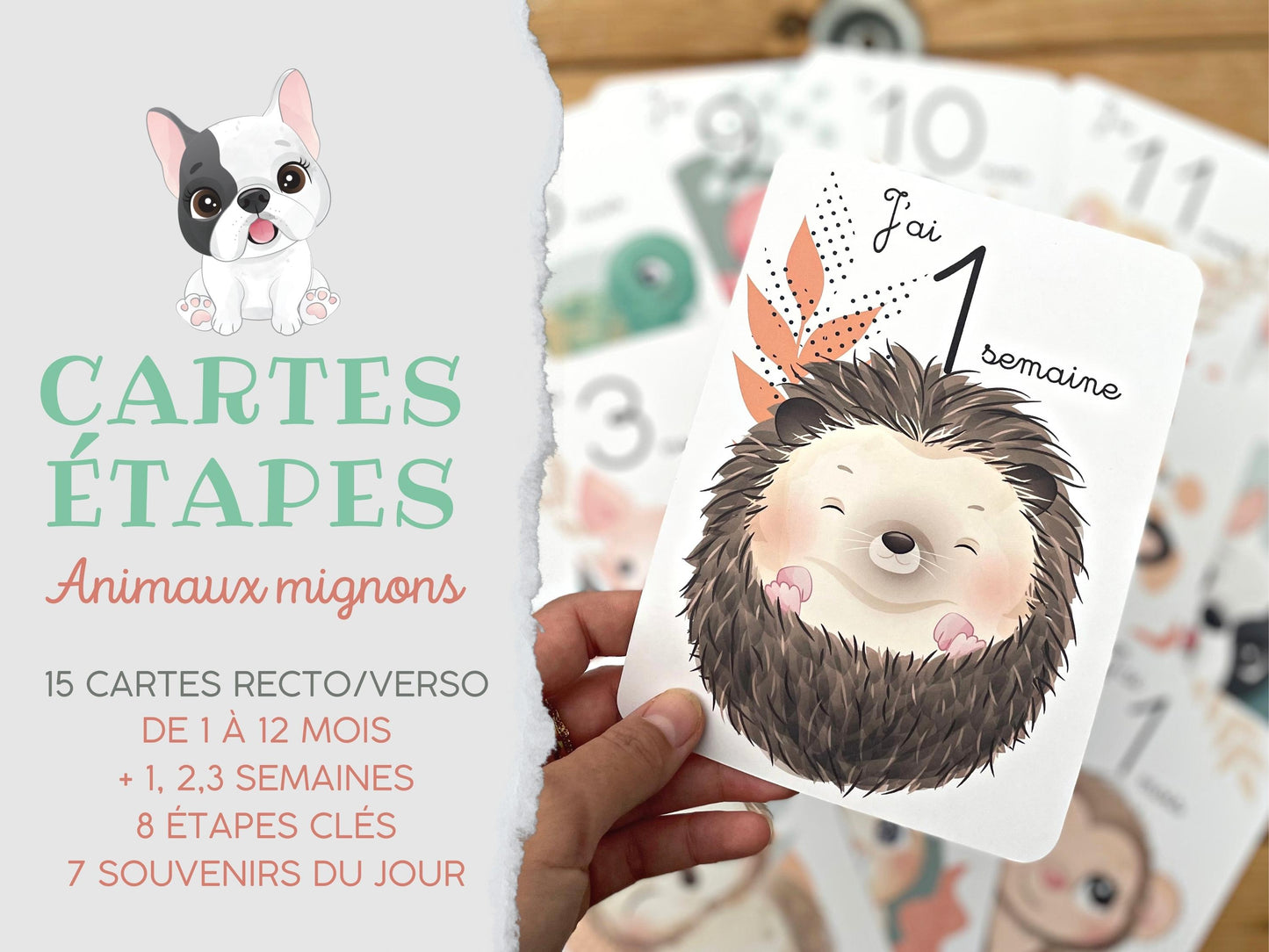 Stages card - 1 week 12 months - Cute jungle forest animals 0 1 year