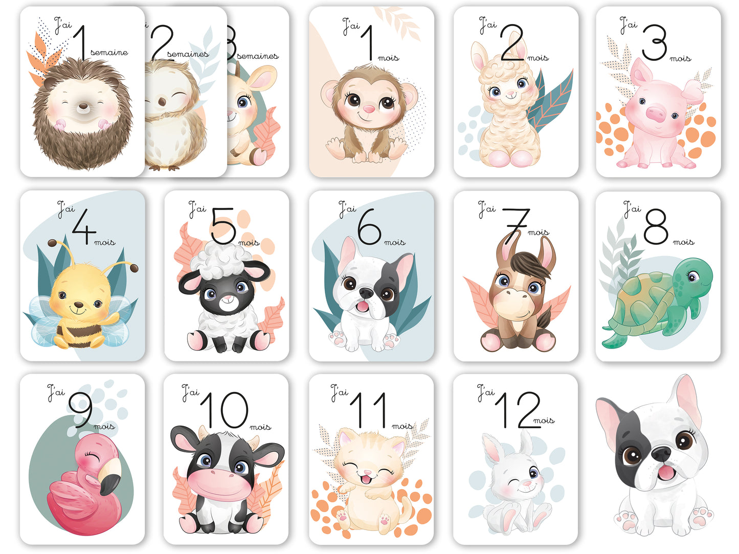 Stages card - 1 week 12 months - Cute jungle forest animals 0 1 year